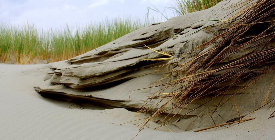 Dune Bep Schiermonnikoog Eksteriør bilde