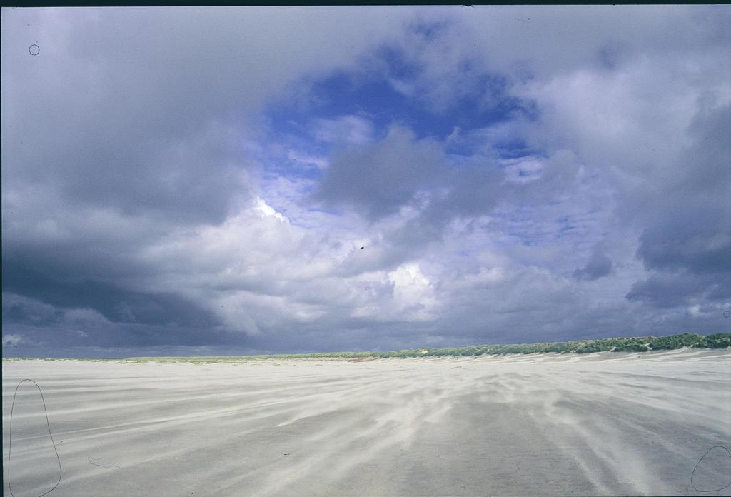 Dune Bep Schiermonnikoog Eksteriør bilde